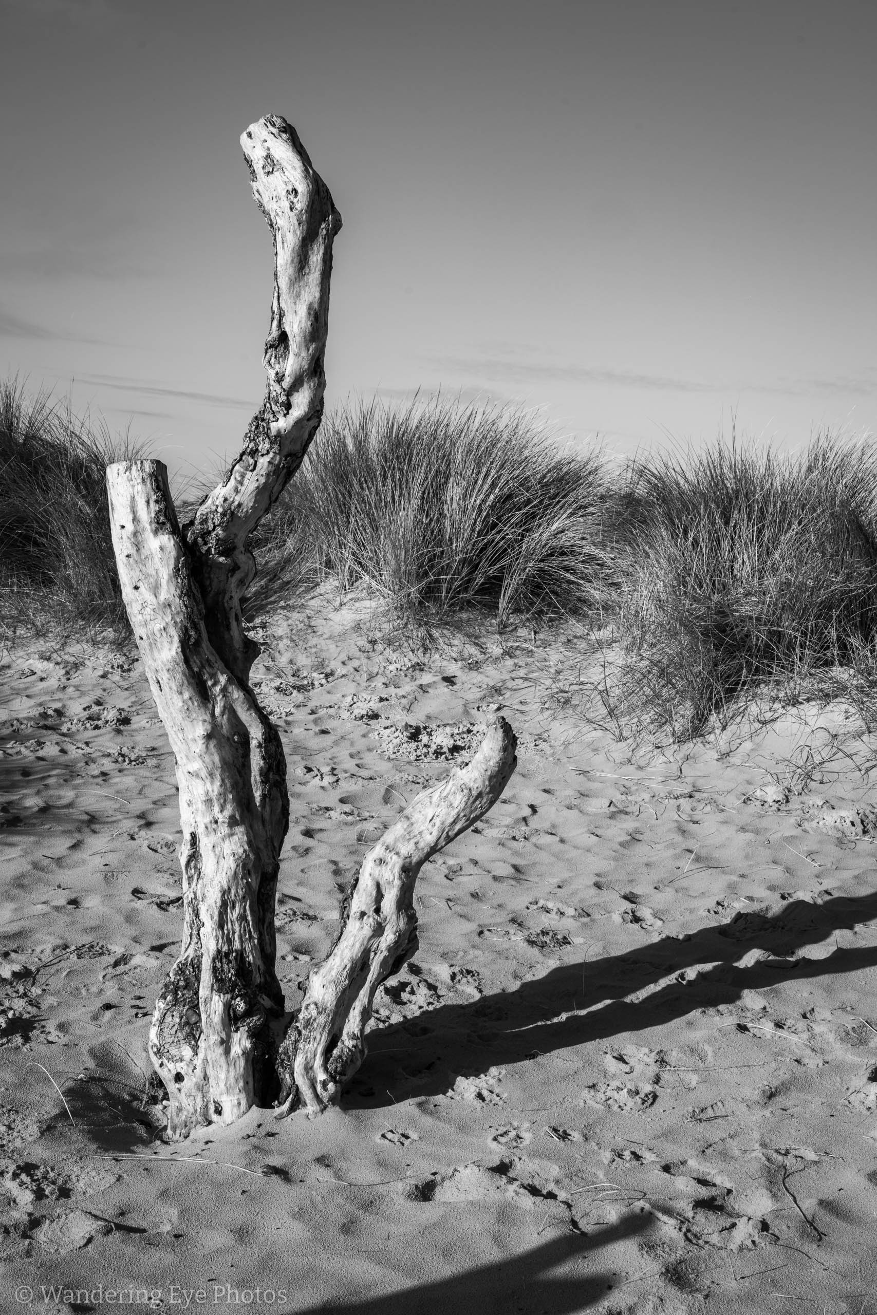 11.17 12.39.48   DSC00262